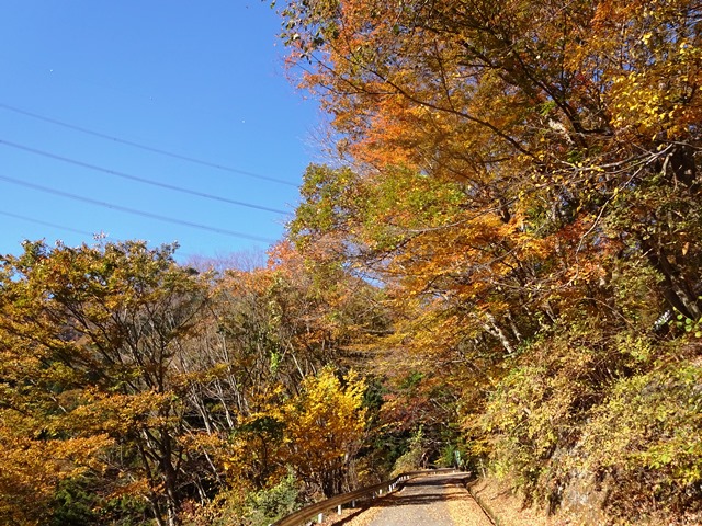 大月市観光協会 Otsuki Tourism Association - お知らせ - 彩る笹子峠