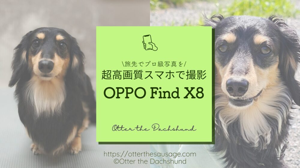 超高画質スマホ】わんことの旅が変わる！OPPO Find X8 Hasselblad監修