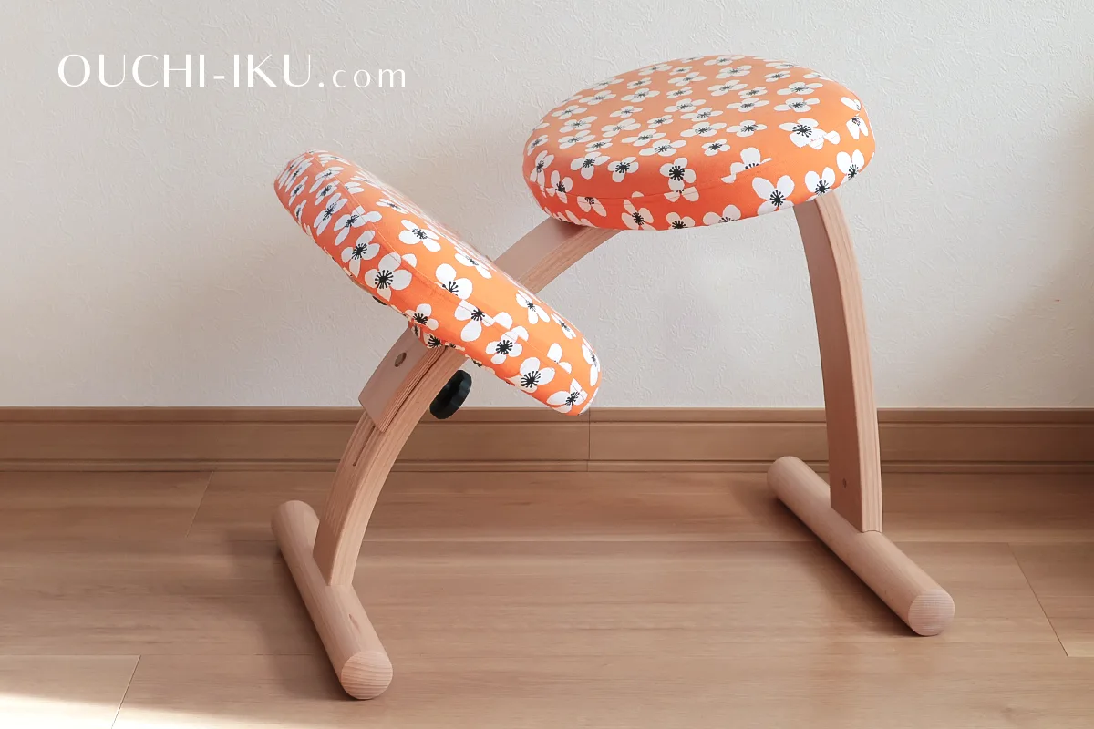 バランスイージー チェア サカモトハウス balans easy カバー付き