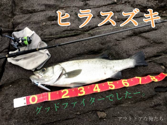 ラテオR110MHの俺的インプレ｜コスパ最強の大物系なんでもロッドに認定