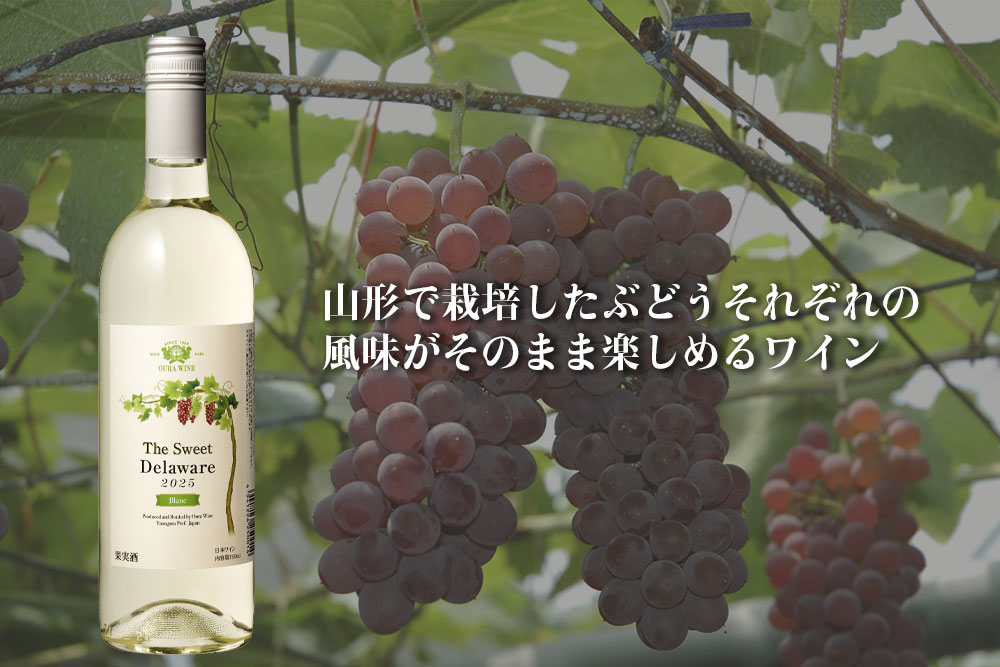 新酒 - 大浦葡萄酒