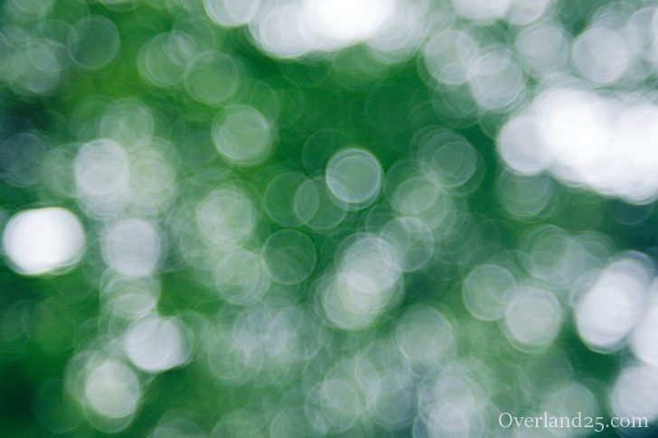 Fujinon 55mm F2.2 – トリプレットというレンズ構成？和製バブルボケ