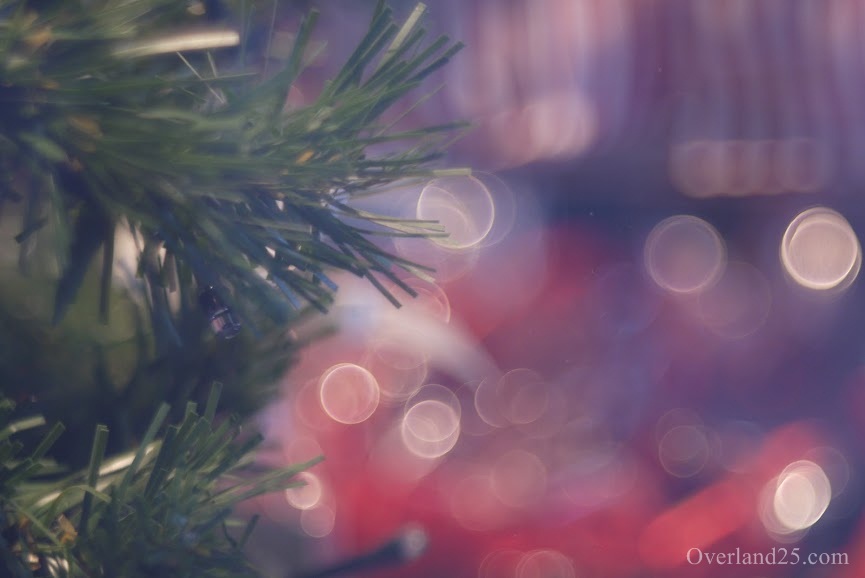 Pentacon AV 80mm F2.8 – バブルボケを追う旅最終回。Torioplanに