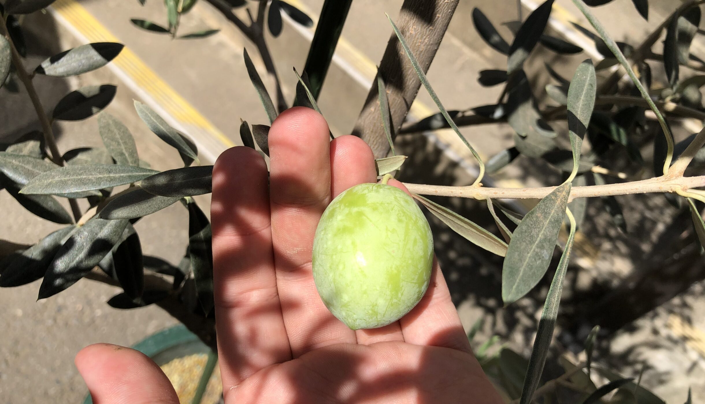 IMG_3706-e1695102887900-