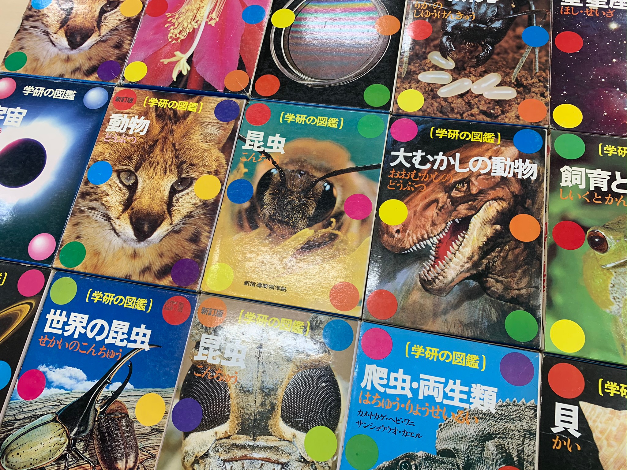 懐かし過ぎる！1970年創刊「学研の図鑑」水玉表紙が“復活“ 「持ってた