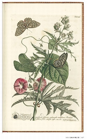 博物画の楽しみを知る “博物学黄金時代”に出版された、美しく貴重な