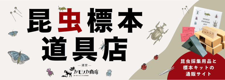 昆虫標本道具店 byカモシカ商店