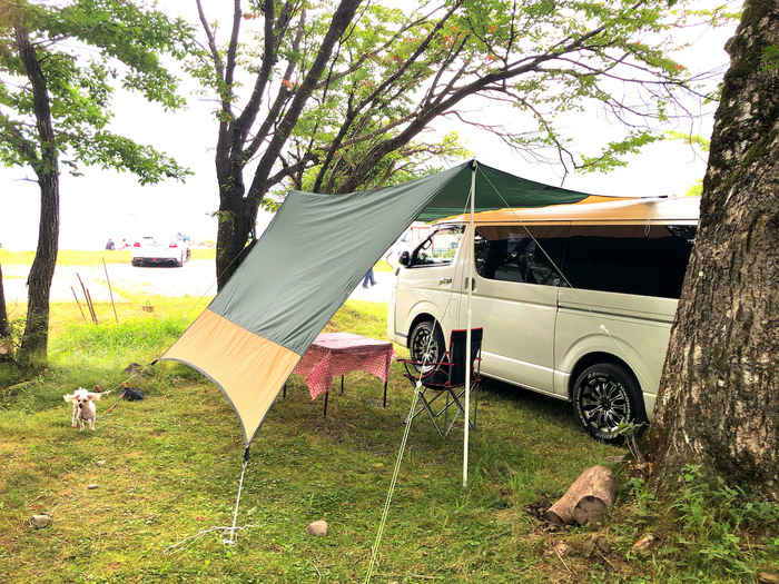 Coleman パーティーシェード/360(ライムグリーン)の商品紹介 | hinata