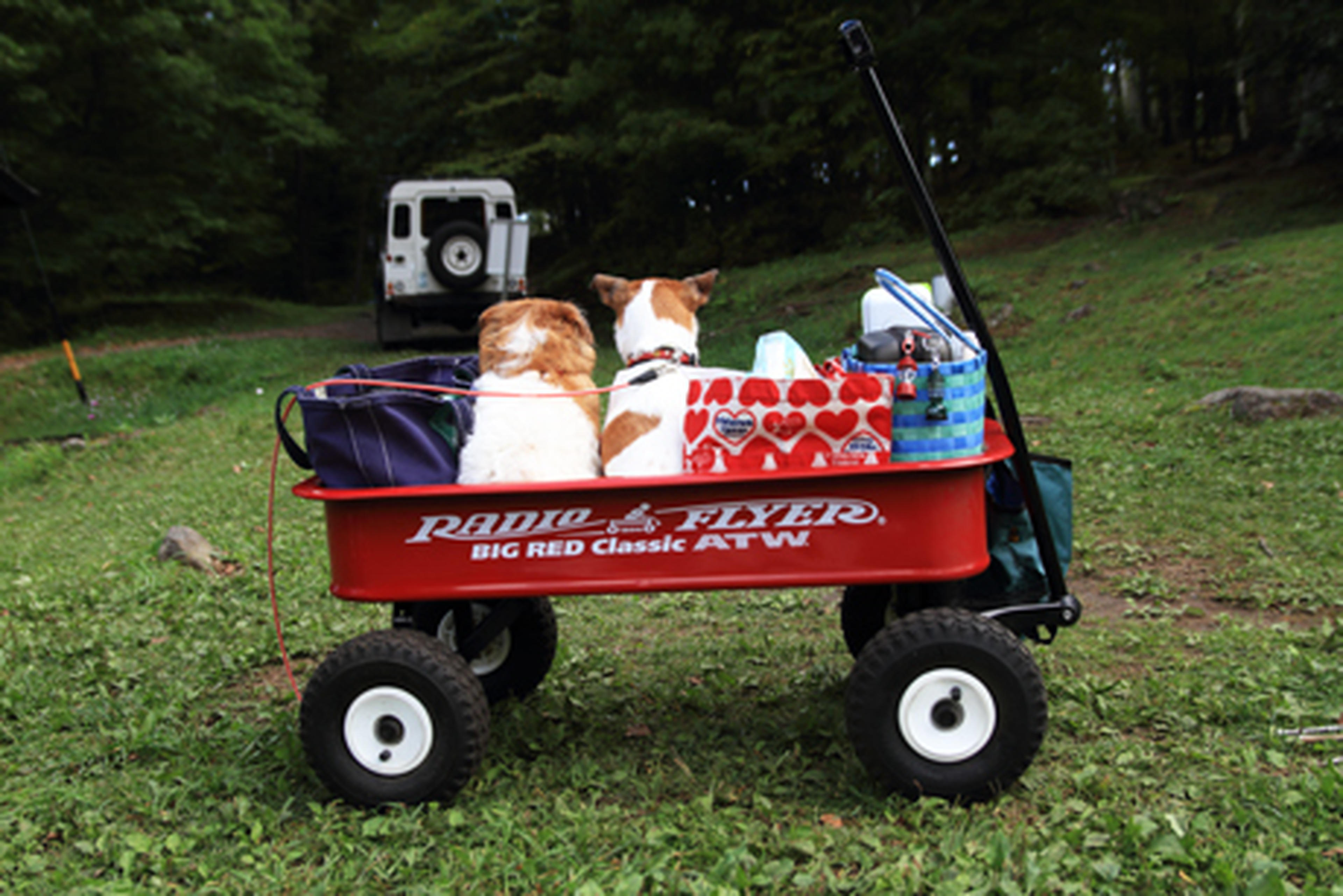 我が家の愛用ギア】ラジオフライヤーで車乗り入れNGでもラクラク