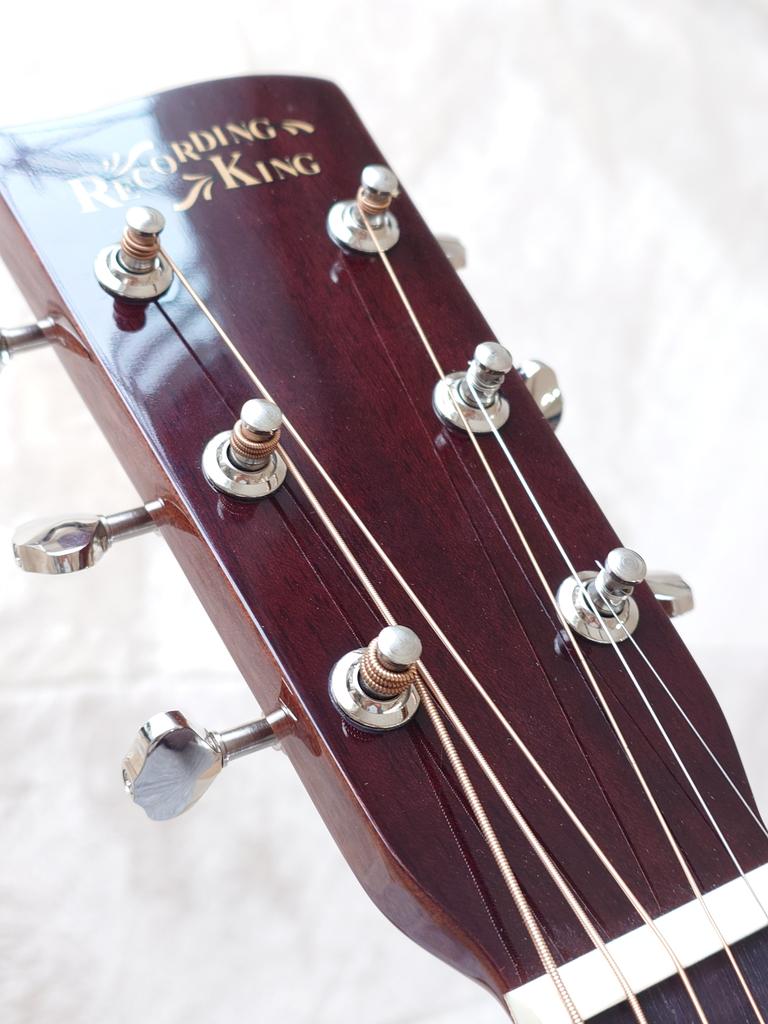 RECORDING KING ( レコーディングキング ) RO318 送料無料 | サウンド