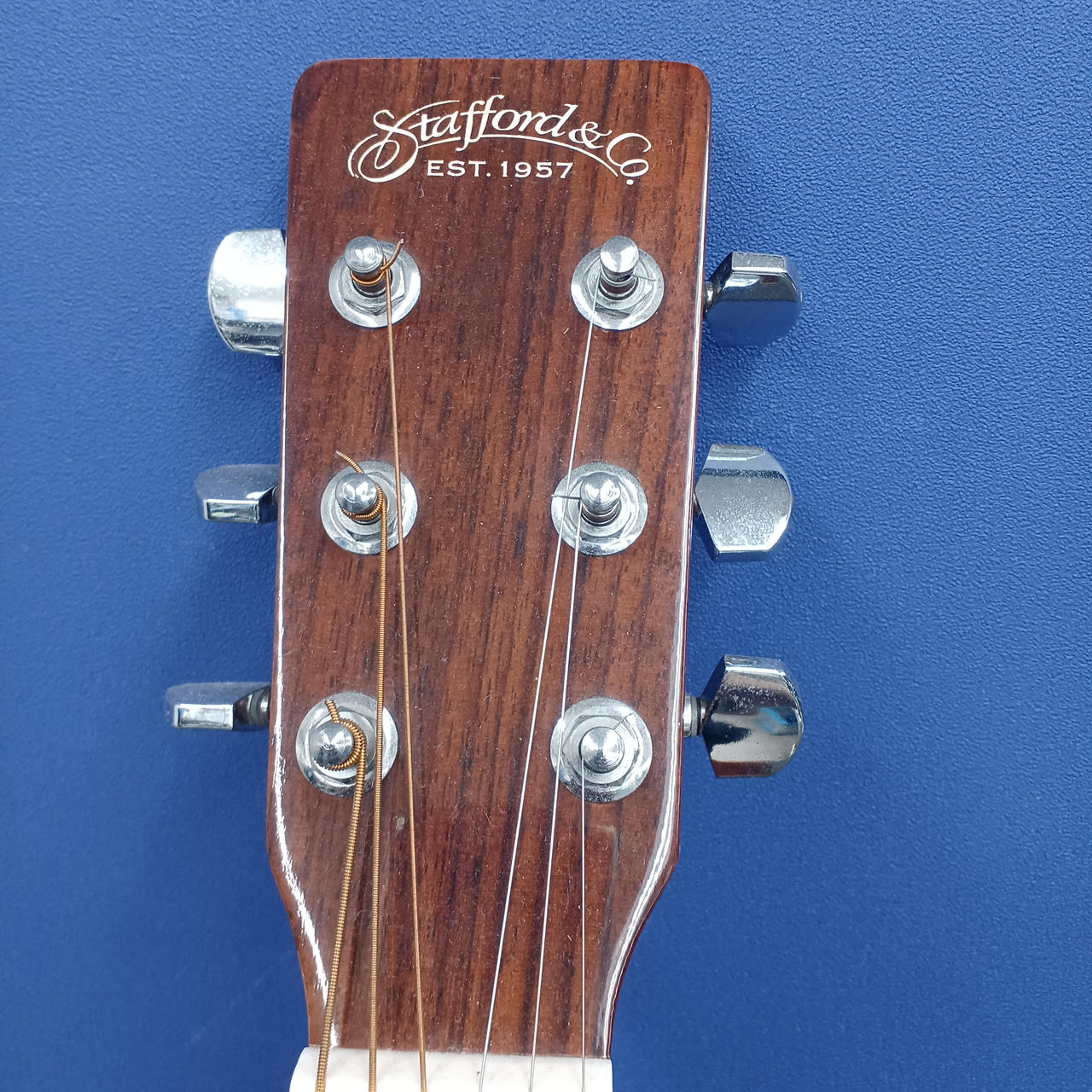 スタッフォード(STAFFORD)|アコースティックギター|【ハードオフ公式