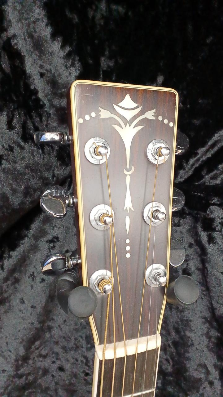 CAT'S EYES|アコースティックギター|【ハードオフ公式通販】オフモール