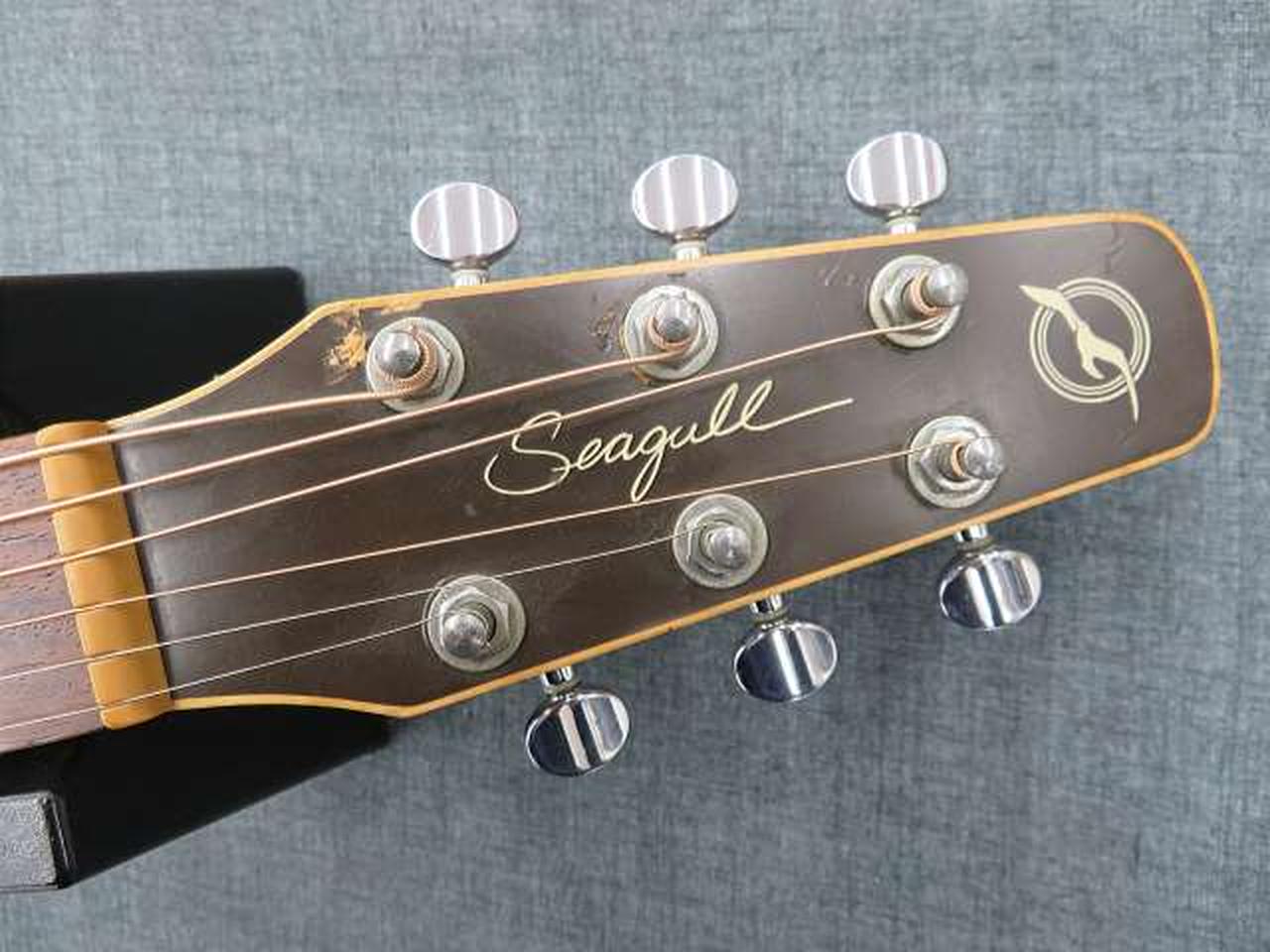 シーガル(SEAGULL)|エレアコ|【ハードオフ公式通販】オフモール