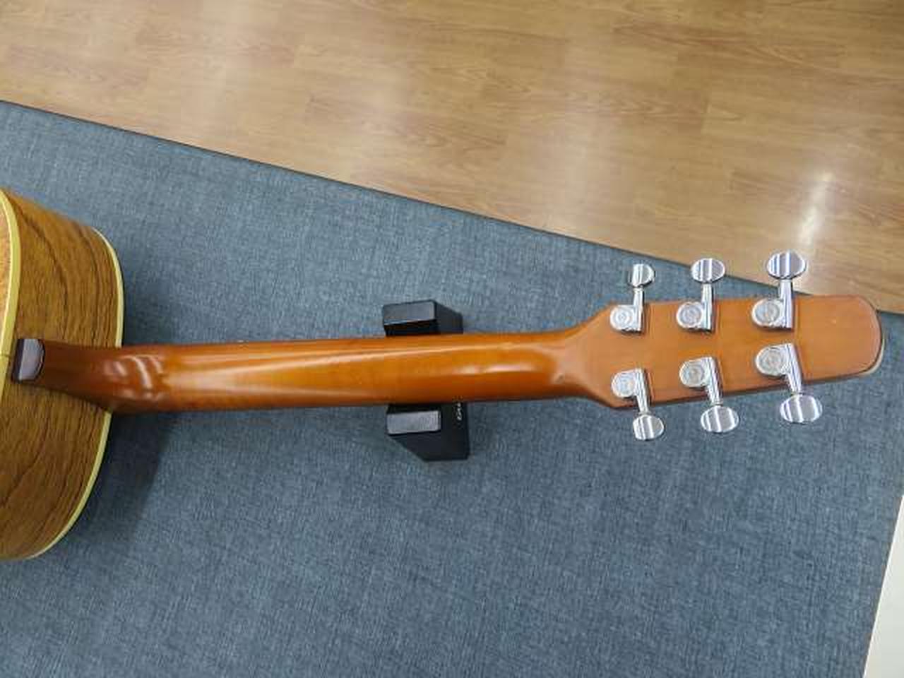 シーガル(SEAGULL)|エレアコ|【ハードオフ公式通販】オフモール