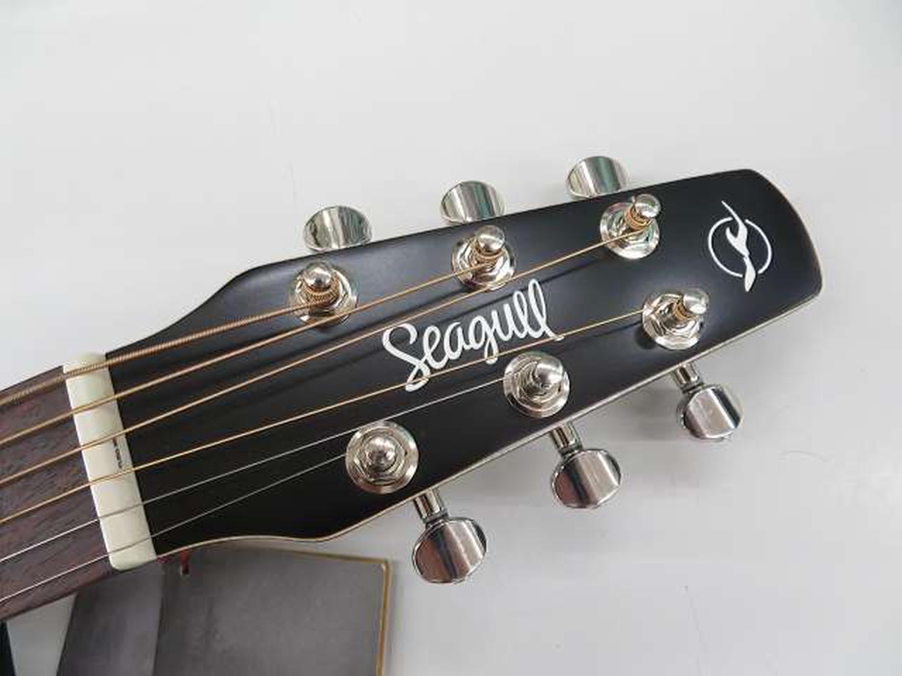 シーガル(SEAGULL)|エレアコ|【ハードオフ公式通販】オフモール