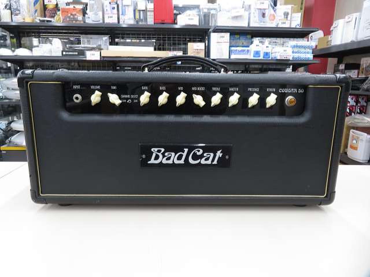 Badcat cougar 50 ツアーケース付き Bad cat Badcat cougar 50 ツアー