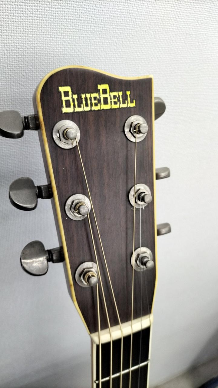 BLUEBELL|アコースティックギター|【ハードオフ公式通販】オフモール
