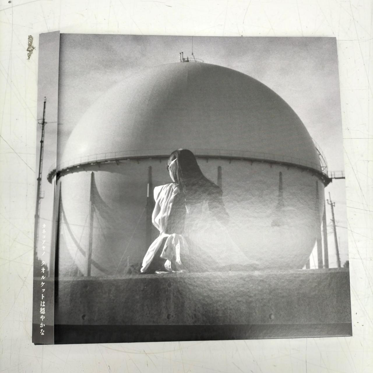 1994|カネコアヤノ/タオルケットは穏やかな|【ハードオフ公式通販