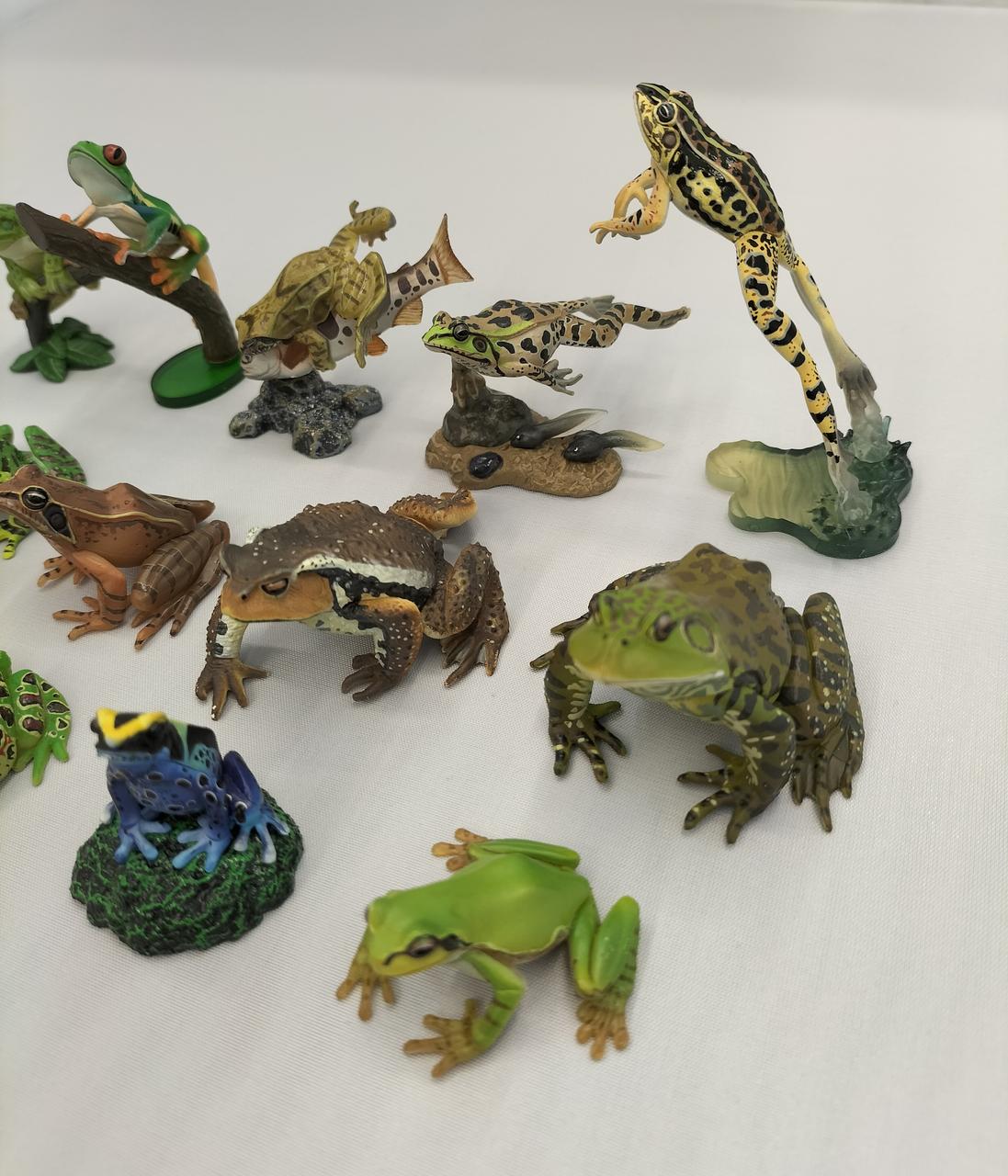 ユージン|原色両生類カエル図鑑[新改訂版]|【ハードオフ公式通販】オフ