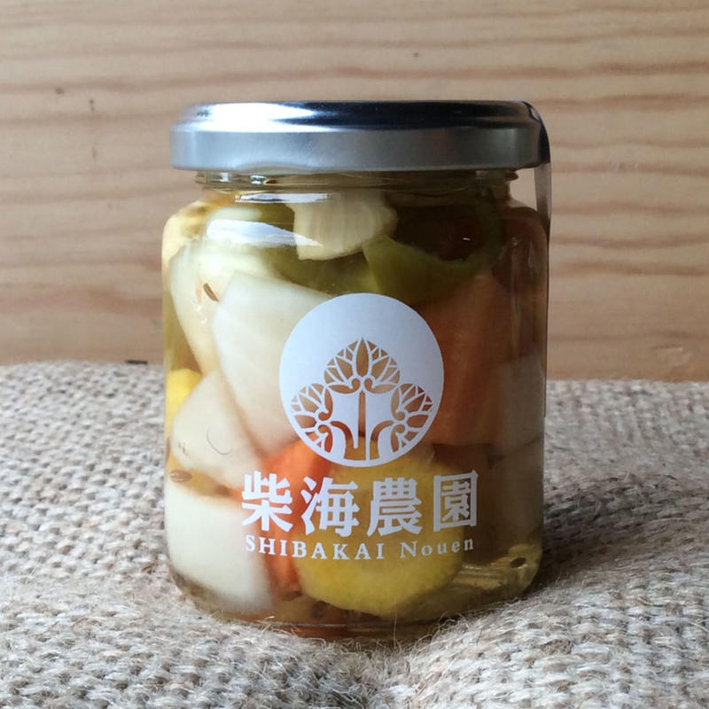 HABA 廃盤瓶入りミックスピクルス ドイツ 木のおもちゃ HABA 廃盤瓶