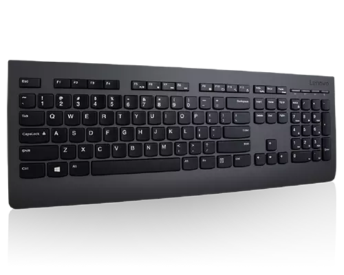 Lenovo プロフェッショナル ワイヤレス キーボード - 英語