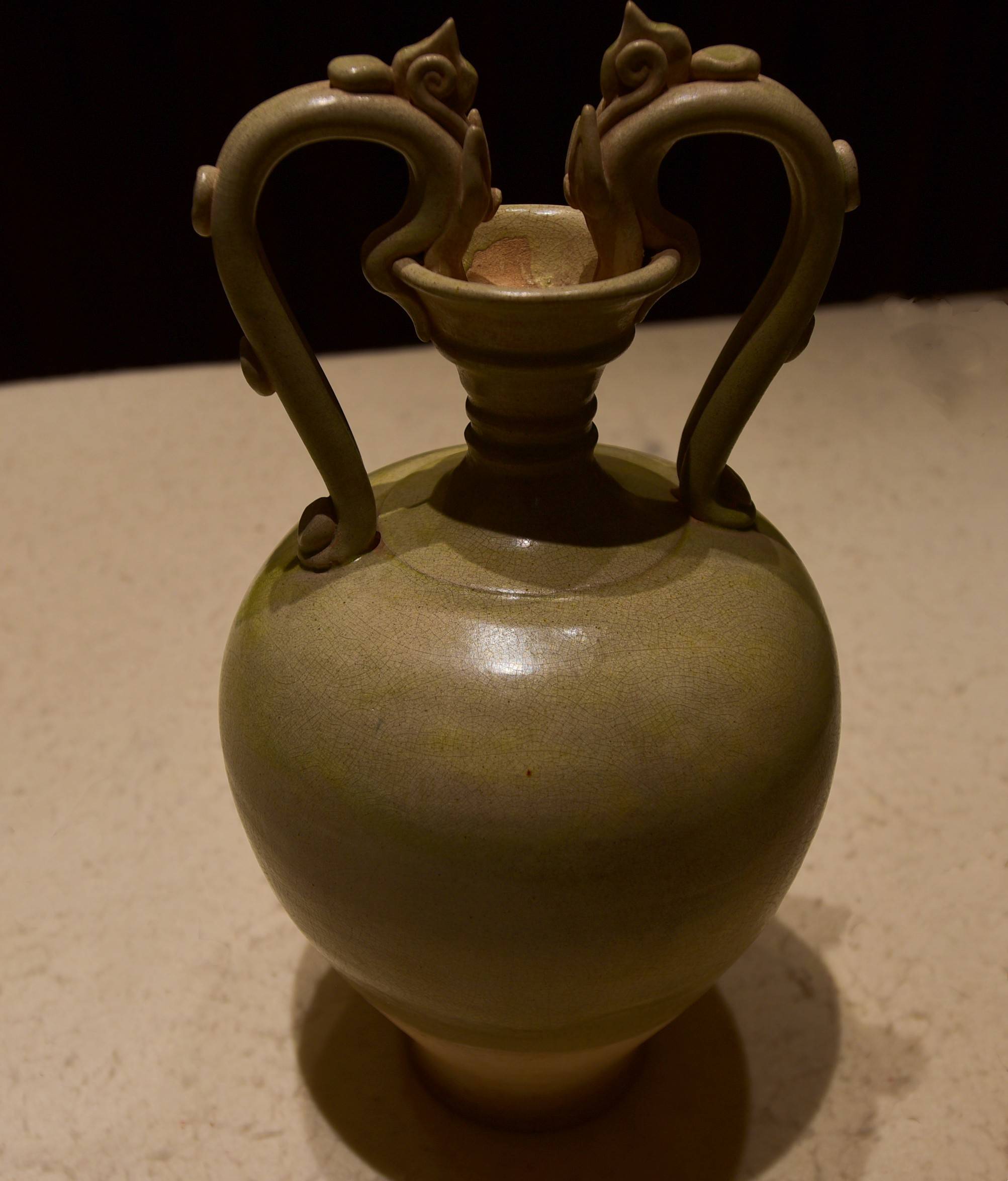 昙花一现百年龙耳风骚精彩_搜狐网