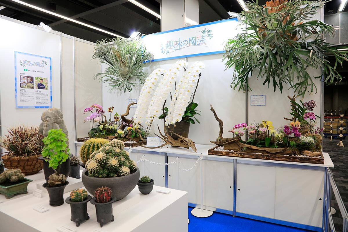 咲き誇るランの祭典へ「世界らん展2026-花と緑の祭典-」会場レポート