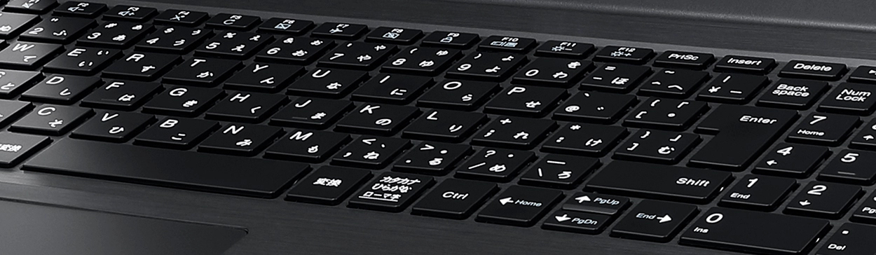 最新2021年秋冬モデル LAVIE Direct N15(S) （ノートパソコン）NEC