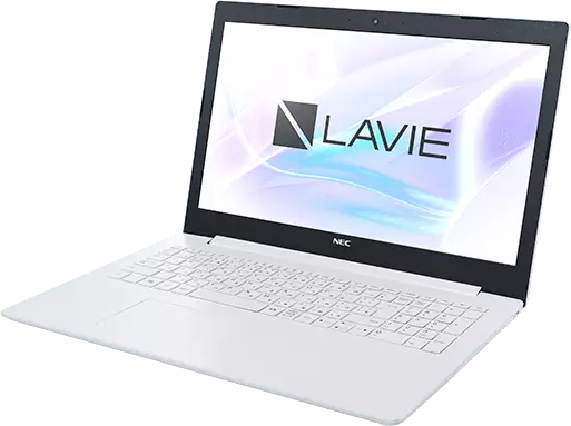2019年春モデル LAVIE Direct NS(A) 15.6型ワイド [Note Standard