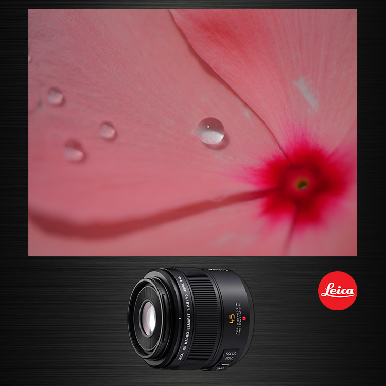 概要 デジタル一眼カメラ用交換レンズ H-ES045 | LUMIX（ルミックス