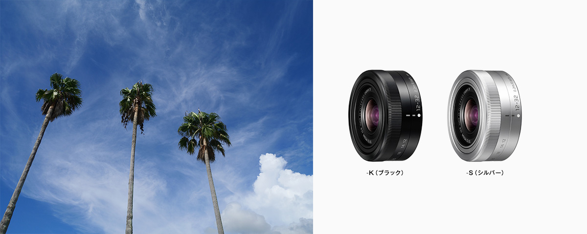 概要 デジタル一眼カメラ用交換レンズ H-FS12032 | LUMIX（ルミックス