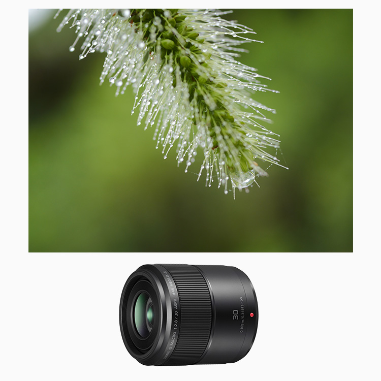 概要 デジタル一眼カメラ用交換レンズ H-HS030 | LUMIX（ルミックス