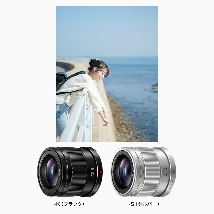 概要 デジタル一眼カメラ用交換レンズ H-HS043 | LUMIX（ルミックス