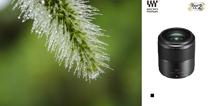 Gシリーズ 交換レンズ | デジタルカメラ（ルミックス） | Panasonic