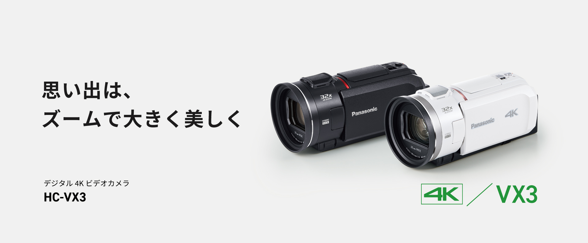 カテゴリー概要 | デジタルビデオカメラ | Panasonic