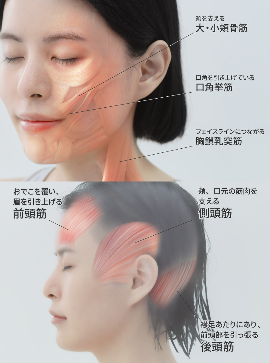 Chapter2 筋肉アプローチ編 | フェイスケア（スチーマー・美顔器