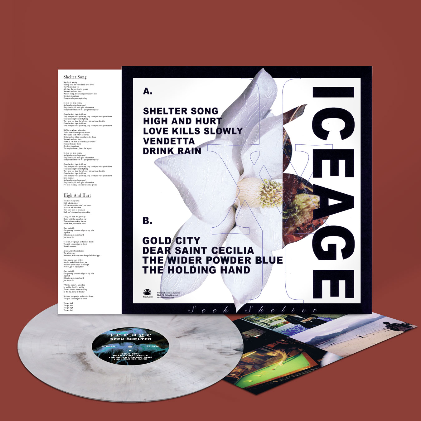 Iceage - Seek Shelter - Dinked Edition #99 //Mexican Summer