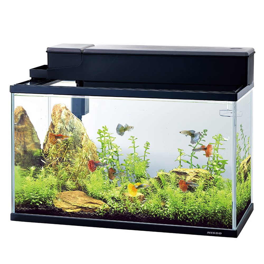 NISSO スライドプラス600水槽セット│マルカンの製品一覧｜ペット用品