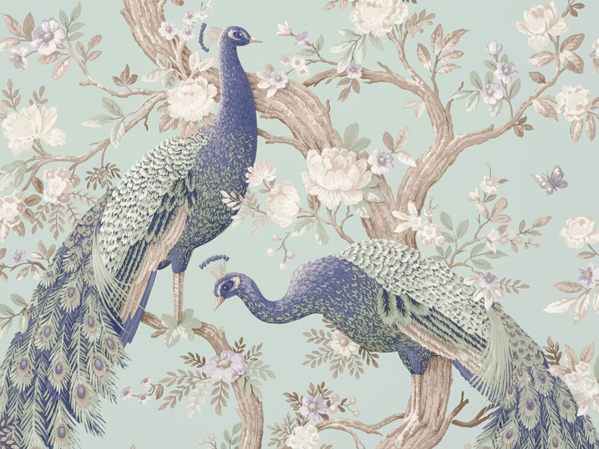 3735178-Belvedere Duck Egg ｜PASSAGE de SINCOL