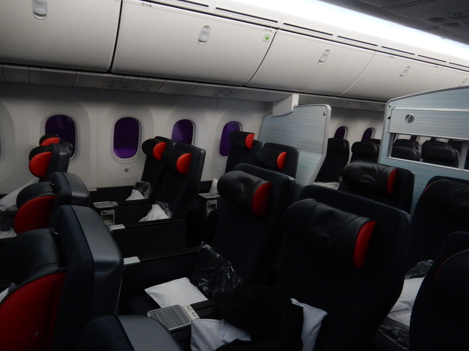 Air Canada B787-9 (の45K) | Path to the Journey