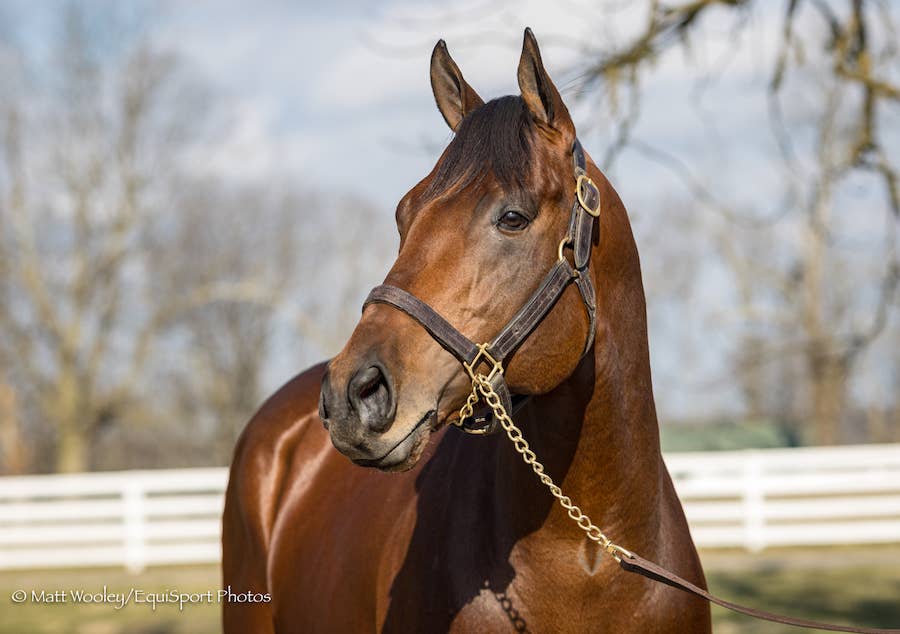 four-wheel-drive-at-darby-dan-