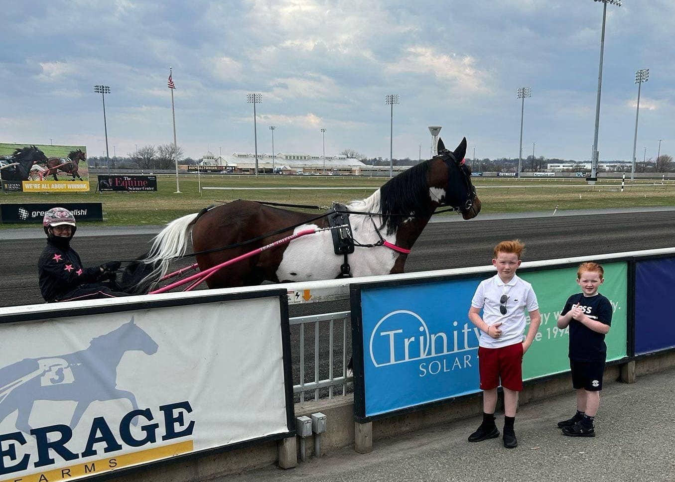 Horse Of A Different 'Colour': Flashy Standardbred Takes On