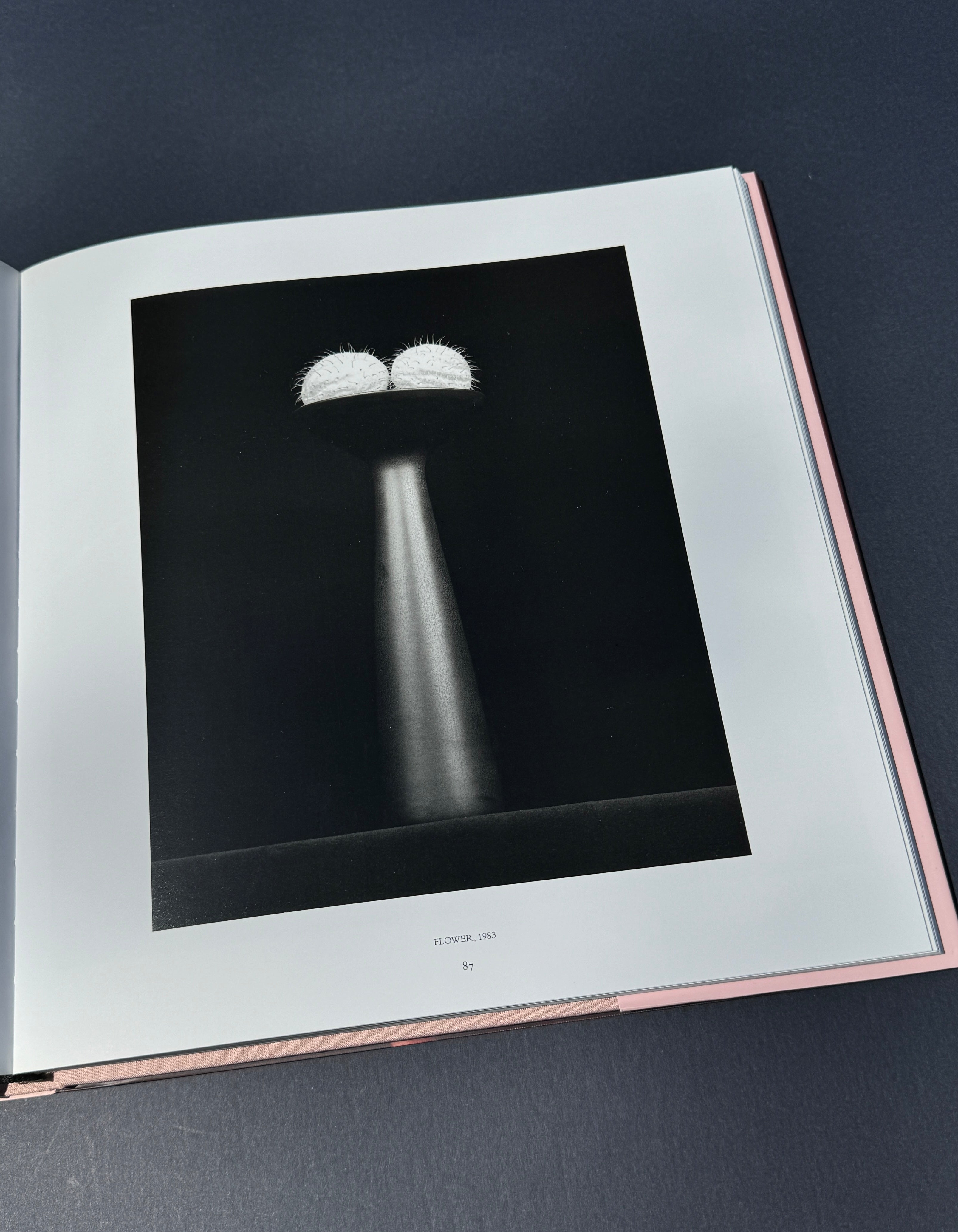 Robert Mapplethorpe - Pistils – Parallel Editions