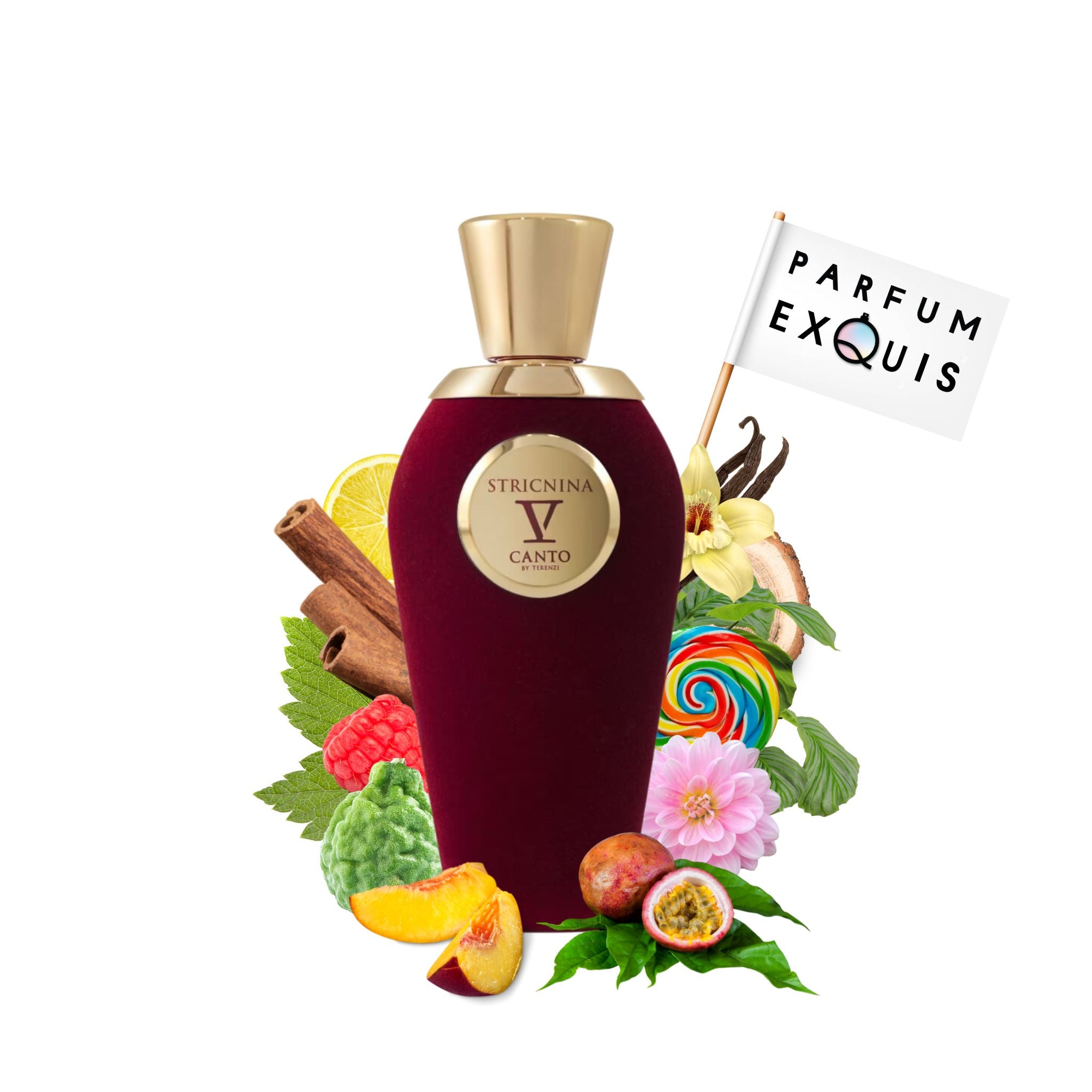 Stricnina | V Canto | parfumexquis