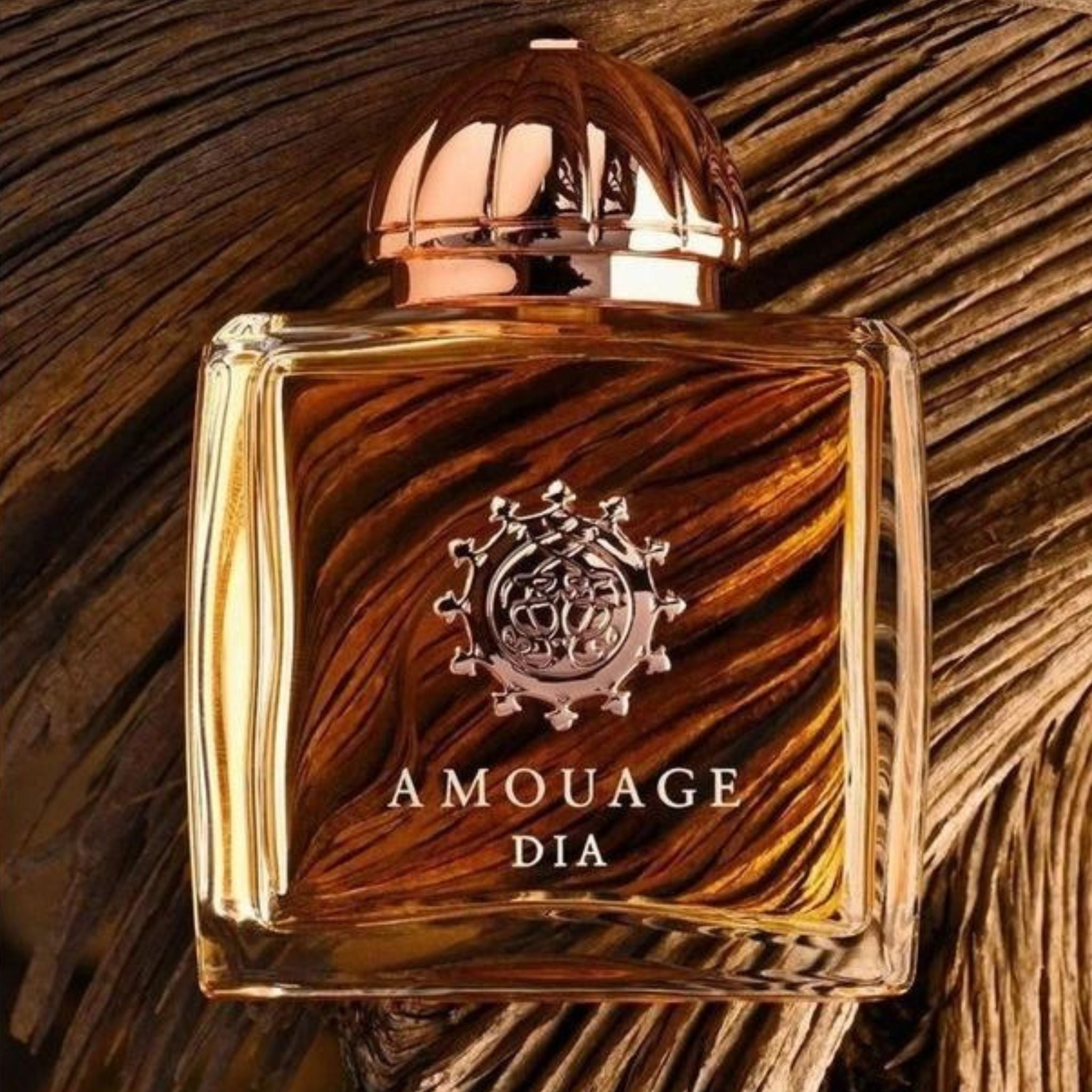 Dia Woman Amouage: Parisian Elegance in a Bottle · Parfum Exquis US