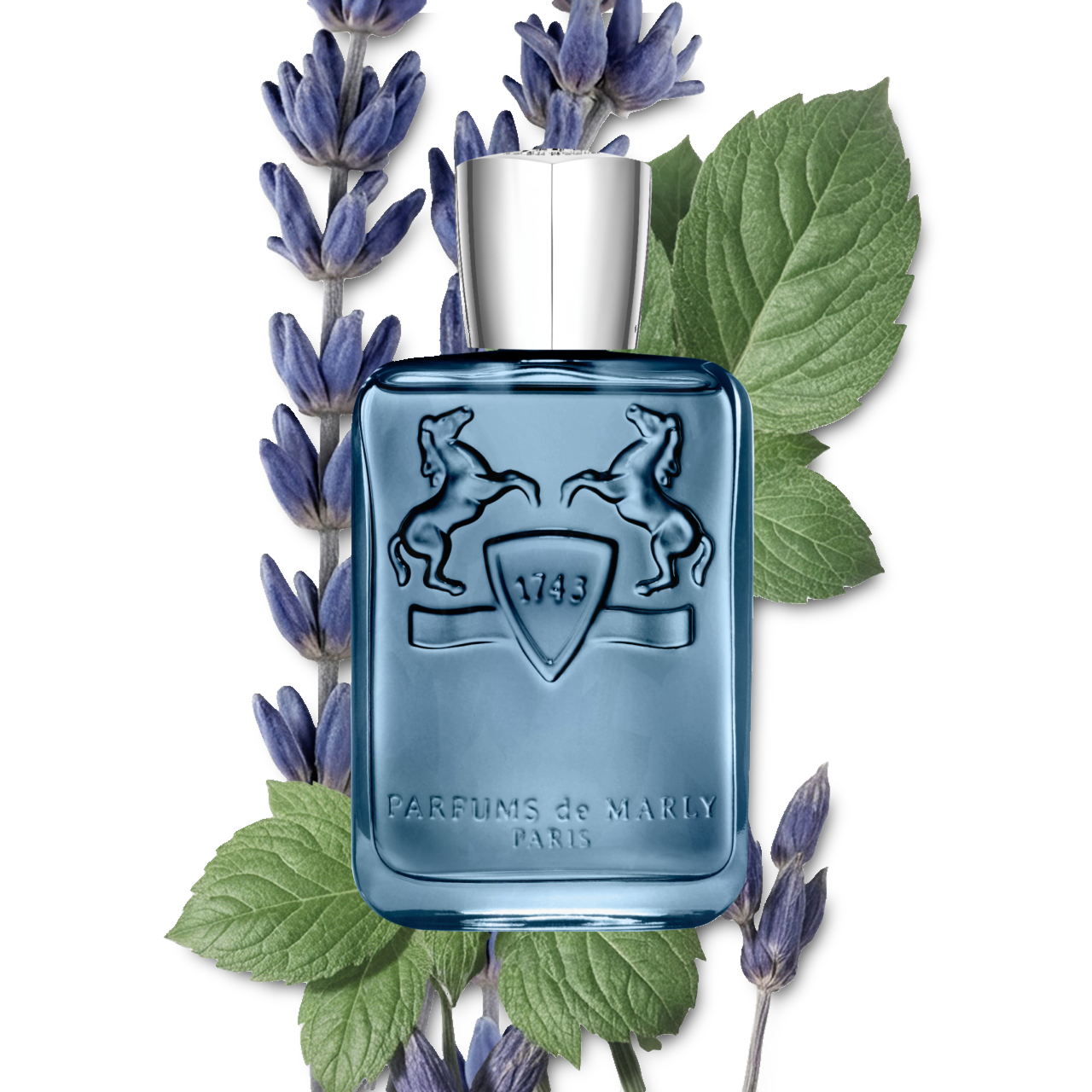 Sedley Eau de Parfum (75ml, 125ml) – Parfums de Marly Official Website