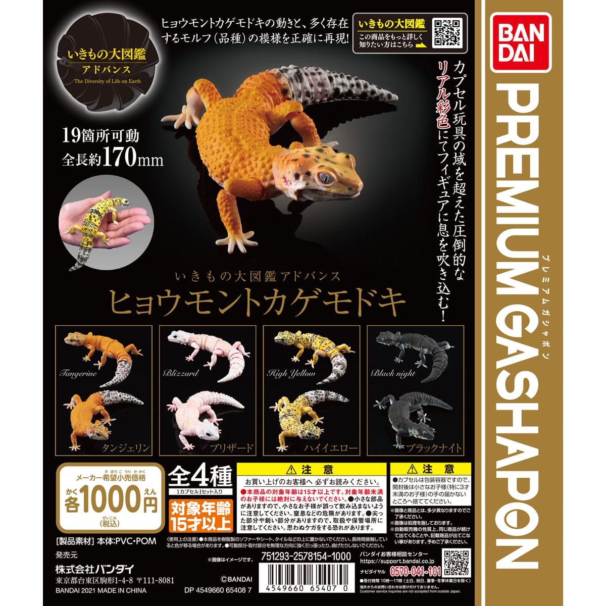 いきもの大図鑑アドバンス ヒョウモントカゲモドキ | ナムコパークス