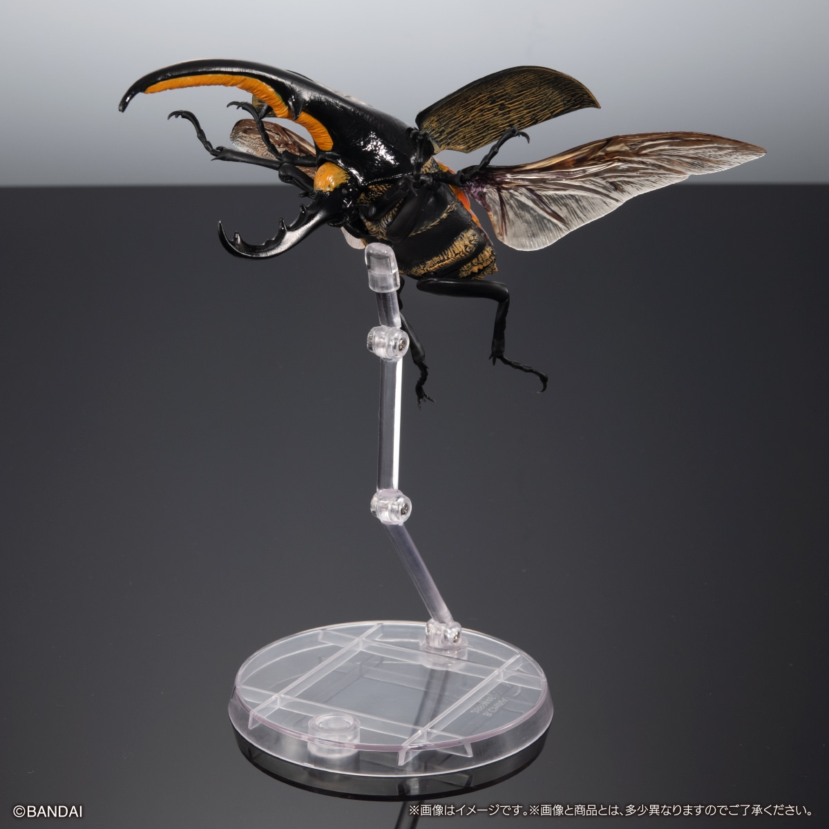 いきもの大図鑑アドバンス ヘラクレスオオカブト ディスプレイスタンド