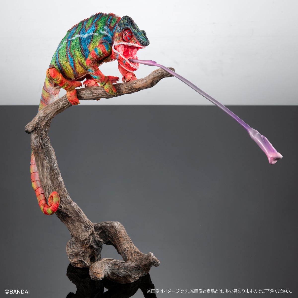 いきもの大図鑑プレミアム パンサーカメレオン（アンビローブ