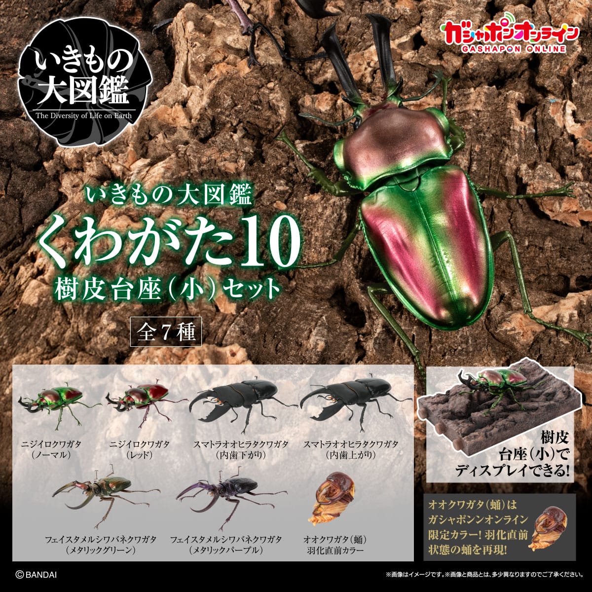 いきもの大図鑑 くわがた10 樹皮台座（小）セット | ナムコパークス
